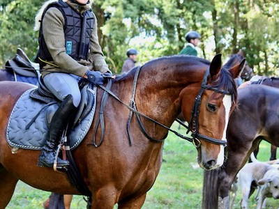Bild 40 aus  Soodehof  Eins - Ihr Kinder-Erlebnisbauernhof in Nordhessen