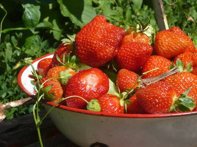 Bild 15 aus  Endlhof