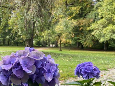 Bild 16 aus  Beekenhof