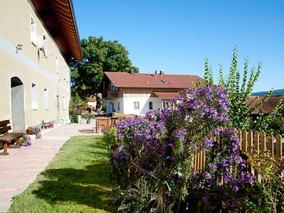 Bild 8 aus  Woferlhof