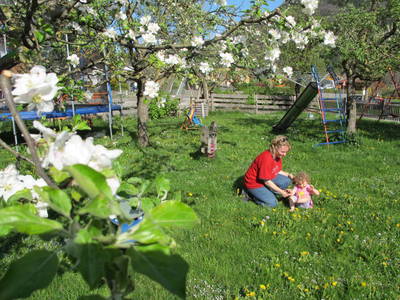 Bild 20 aus  Zacherlhof