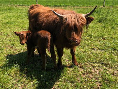 Bild 25 aus  Backhaus Grüntal