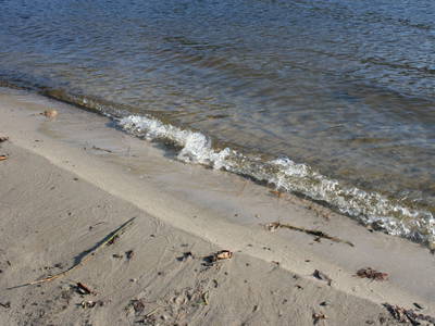 Bild 23 aus  Ferienhof Lucht