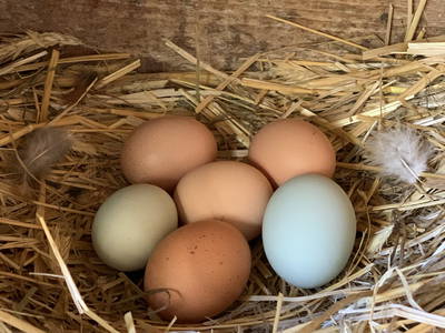 Bild 18 aus  Ferienhof Ritter im Harz