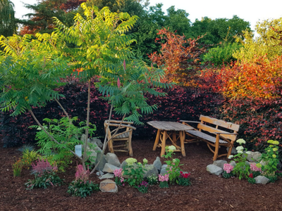 Bild 13 aus  Meyerhof