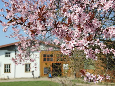 Bild 21 aus  Rumlerhof