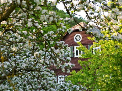 Die Kuchenmühle zur Apfelblüte