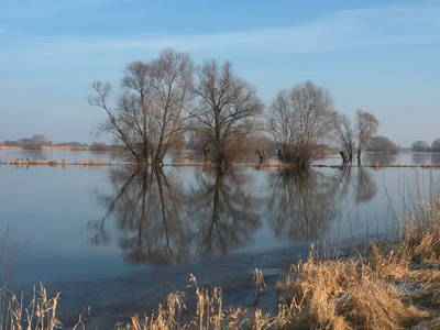 Bild 7 aus  Ferienwohnung Wendland-am-Weinberg