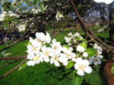 Bild 18 aus  Enkenshof