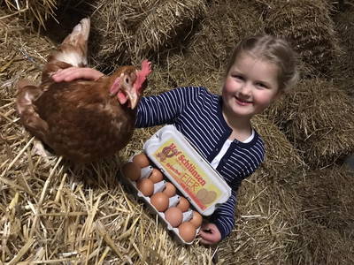 Bild 3 aus  Ferienhof Schlünzen