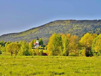 Bild 30 aus  Burgstallhof