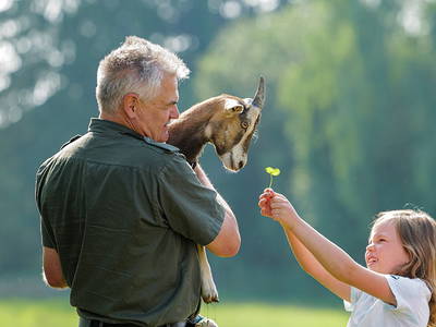 Bild 6 aus  Hofgut Willburger