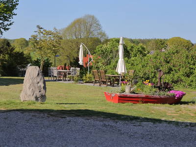 Bild 77 aus  Hof Schlossblick  " der etwas andere Bauernhof "