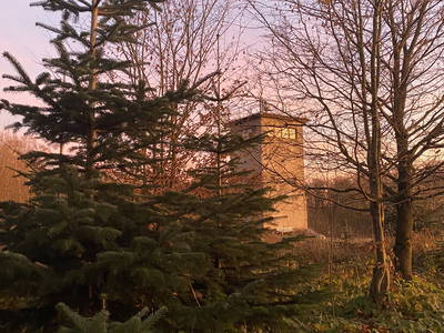 Bild 34 aus  Ferienhof Morich Harz