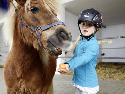 Bild 23 aus  LandSelection Traberhof