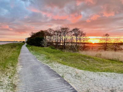 Bild 27 aus  Bauernhof Claussen Fehmarn