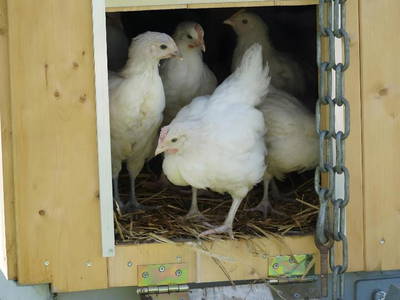 Bild 13 aus  Biohof Casa Rural