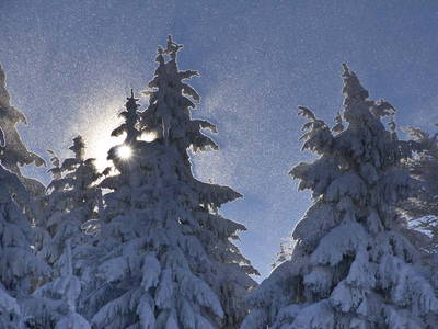 Bild 78 aus  Paulas Bauernhof im Bayerischen Wald