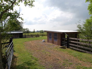 Bild 6 aus  Kantorhof