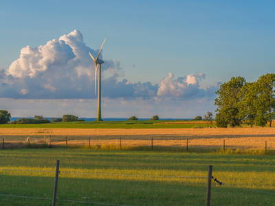 Bild 9 aus  Ferienbauernhof Lafrenz