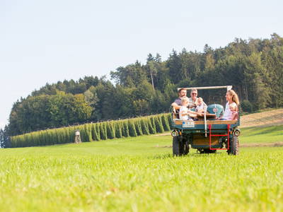 Bild 19 aus  Ferienhof Egger