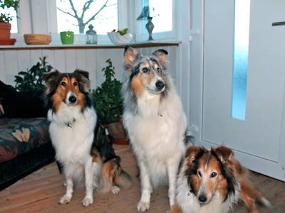 Bild 8 aus  Landhaus Bodensee