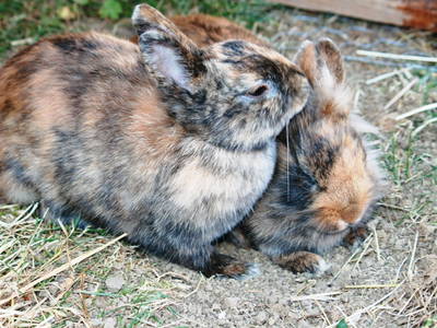 Bild 14 aus  Hof am KrämersBug