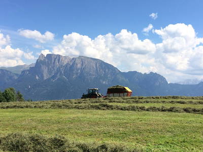 Bild 22 aus  Lärchhof