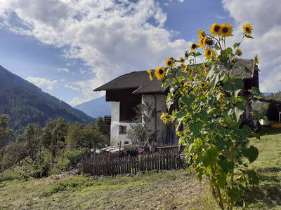 Bild 37 aus  Kreuzplon