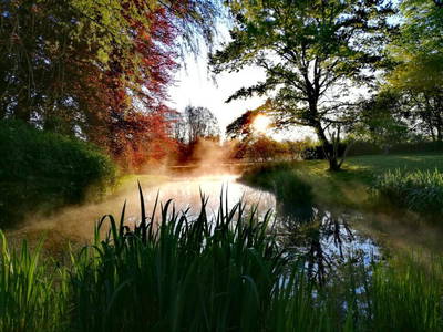 Bild 5 aus  Gutshaus Gottin