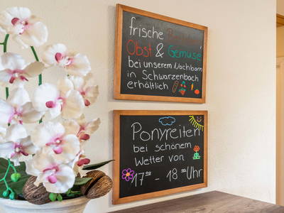 Bild 60 aus  Ferienwohnungen Wagner