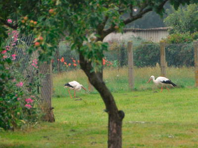 Bild 14 aus  Scheunenloft Usedom