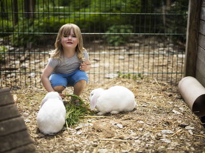 Bild 16 aus  Ferienhof Heute Mühle