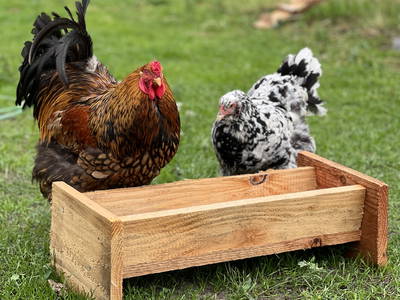 Bild 49 aus  Ferienhof Wübbold