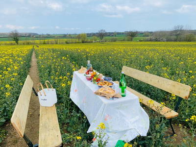 Rapsblütenfest im Rapsfeld