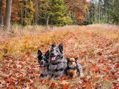 Bild 23 aus  Rancone Lodges