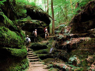 Bild 35 aus  Landgasthaus Hoffmann