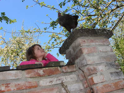 Bild 11 aus  Döllelhof Erding