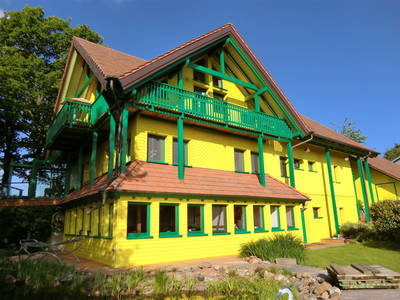 "Adlerhorst-Hunsrück"in Höhe der Baumkronen