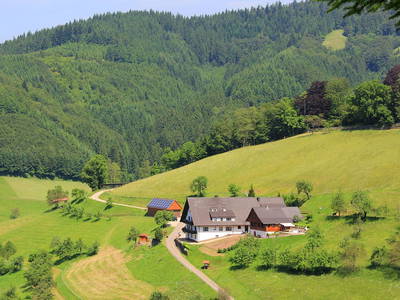 Bild 9 aus  Ferienhaus - Ferienwohnungen Müllerbauernhof im Schwarzwald.