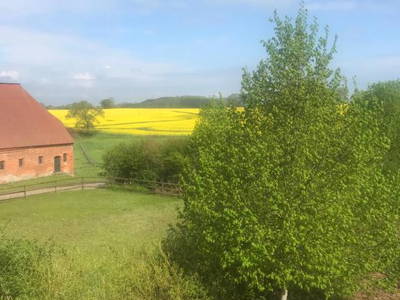 Bild 16 aus  Sprengerhof