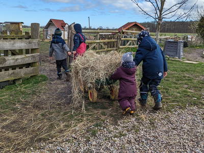 Bild 81 aus  Ahoi Ostsee:  Bauernhof und OstseeUrlaub - Ferienhof Becker in Dahme