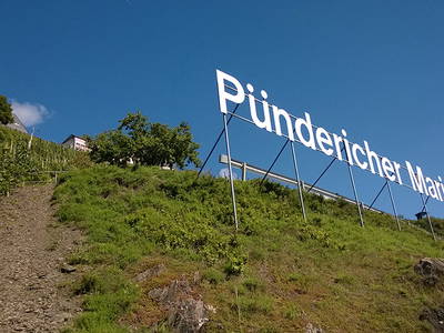 Bild 16 aus  Wein & Wohngut Paulushof