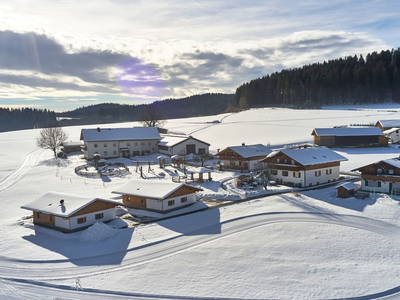 Bild 12 aus  Wenighof