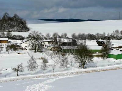 Bild 8 aus  Steinäckerhof