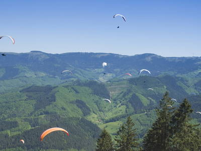 Bild 23 aus  Springhansenhof im Schwarzwald