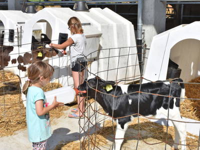 Bild 29 aus  Ramsteinerhof