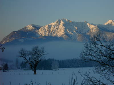 Bild 23 aus  Erharthof - Familie Lautenbacher