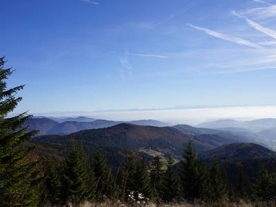 Bild 35 aus  Goldener Hahn - Hyggeliges Aparthotel mit Frühstücksbuffet, Pool & Sauna