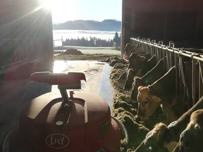 Bild 10 aus  Idyllischer Stellplatz im Westallgäu